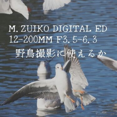 M.ZUIKO DIGITAL ED 12-200mm F3.5-6.3は登山中の野鳥撮影でも使えるレンズか。