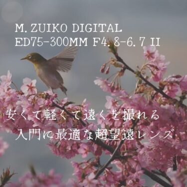 M.ZUIKO DIGITAL ED 75-300mm F4.8-6.7 II はコストを抑えたい手持ち望遠撮影の素晴らしい選択肢。登山・野鳥撮影にも使えそうか。